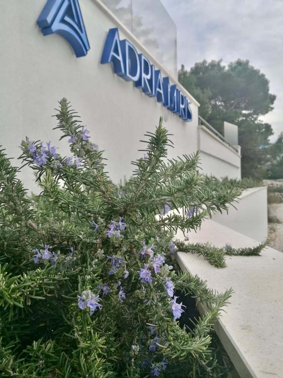 Adria Miris Apartments Drasnice Exterior photo